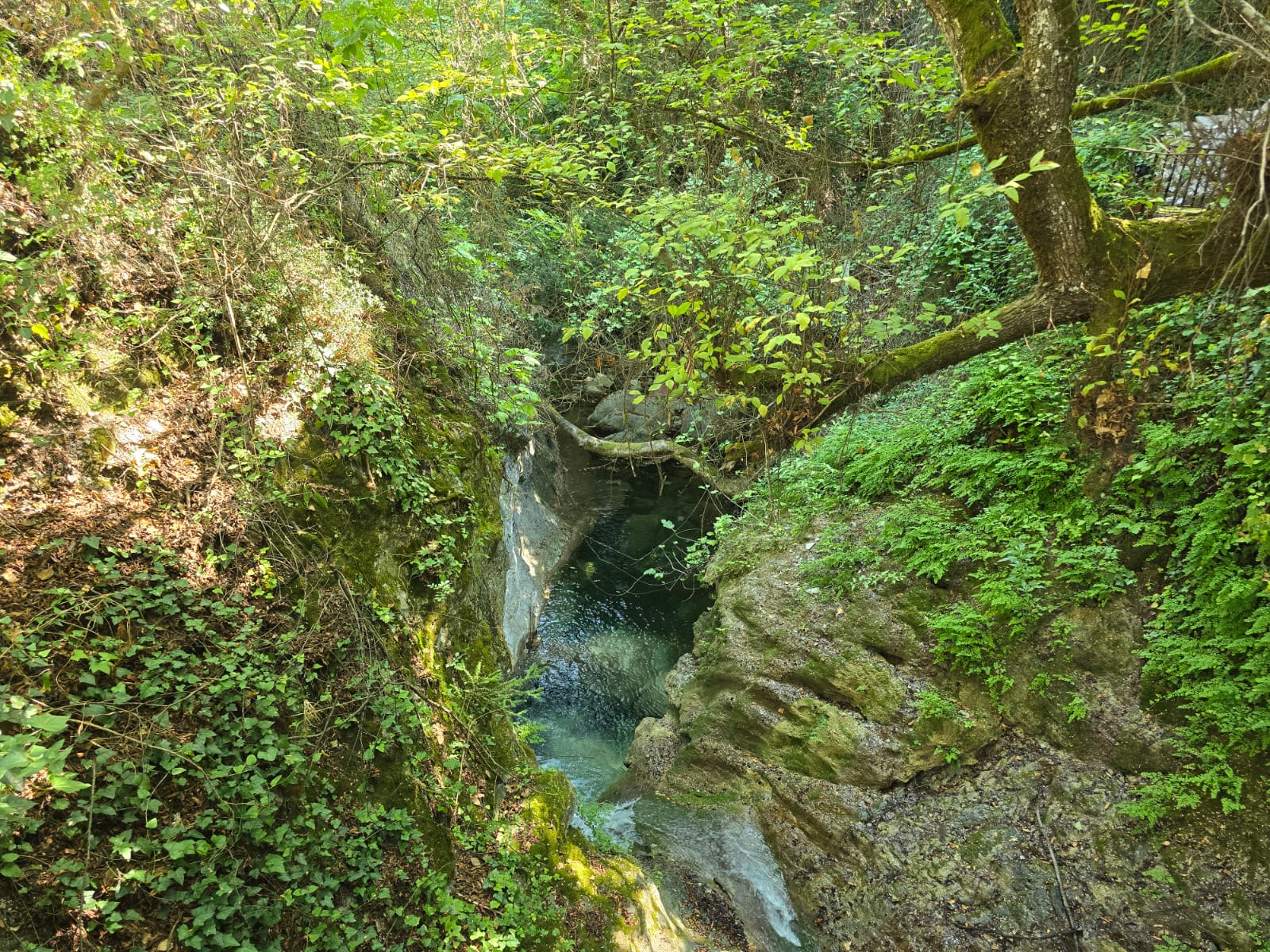 3-Day Private Tour from Athens to Mount Olympus & Meteora